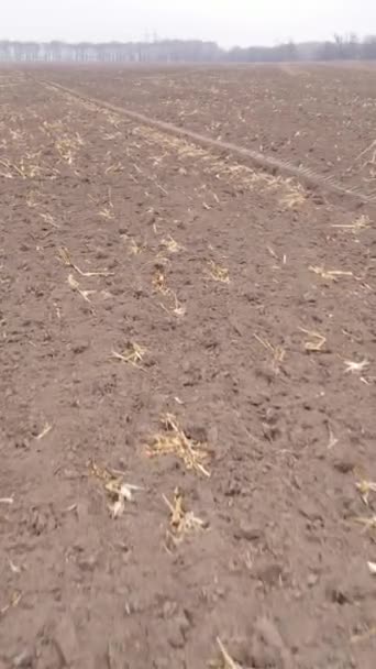 Vídeo vertical campo arado vacío en otoño, vista aérea — Vídeo de stock