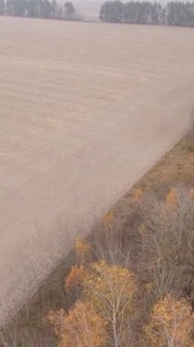 Sonbaharda dikey boş tarla görüntüsü, hava görüntüsü