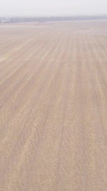 Sonbaharda dikey boş tarla görüntüsü, hava görüntüsü