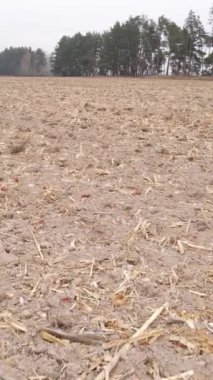 Sonbaharda dikey boş tarla görüntüsü, hava görüntüsü