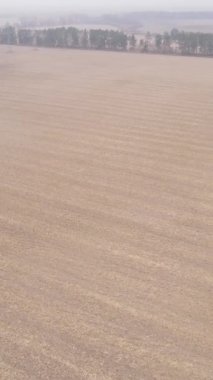 Sonbaharda dikey boş tarla görüntüsü, hava görüntüsü