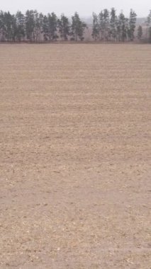 Sonbaharda dikey boş tarla görüntüsü, hava görüntüsü