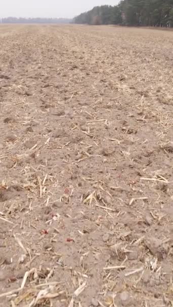 Vertikal video tomt plogat fält på hösten, flygbild — Stockvideo