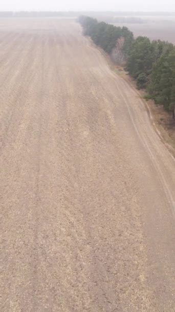 Verticale video leeg geploegd veld in de herfst, luchtfoto — Stockvideo