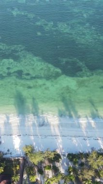 Tanzanya 'nın Zanzibar adasındaki sahil