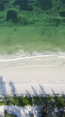 Tanzanya 'nın Zanzibar adasındaki sahil