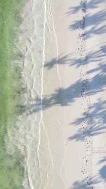 Tanzanya 'nın Zanzibar adasındaki sahil