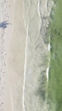 Tanzanya 'nın Zanzibar adasındaki sahil