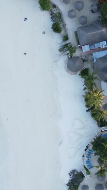 Beach on the coast of Zanzibar island, Tanzania — Stock Video