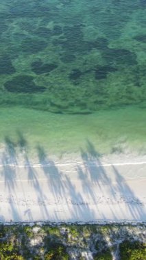 Tanzanya 'nın Zanzibar adasındaki sahil