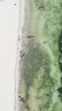 Tanzanya 'nın Zanzibar adasındaki sahil