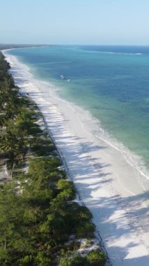 Tanzanya 'nın Zanzibar adasındaki sahil