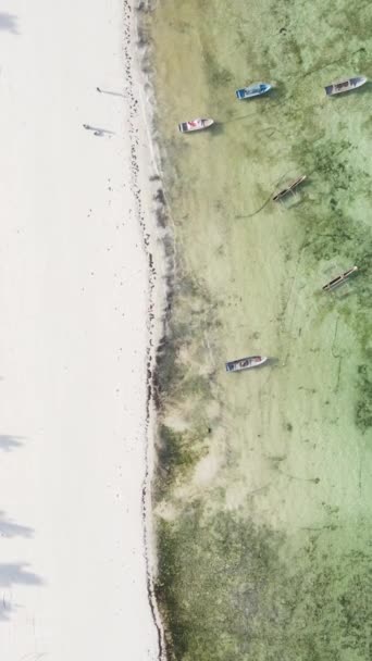 Spiaggia sulla costa dell'isola di Zanzibar, Tanzania — Video Stock