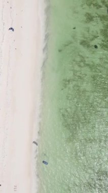 Tanzanya 'nın Zanzibar adasındaki sahil