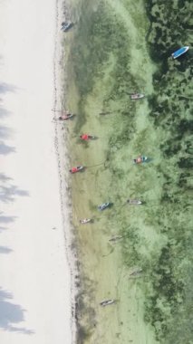 Tanzanya 'nın Zanzibar adasındaki sahil