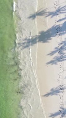 Tanzanya 'nın Zanzibar adasındaki sahil