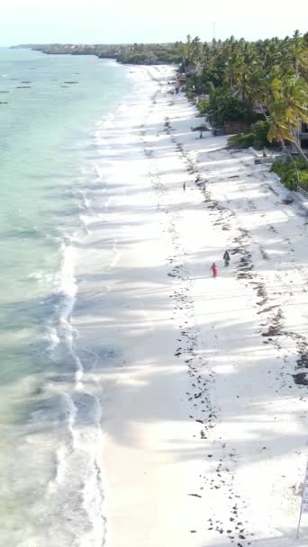 Playa en la costa de la isla de Zanzíbar, Tanzania — Vídeos de Stock