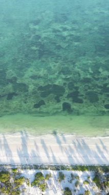 Tanzanya 'nın Zanzibar adasındaki sahil