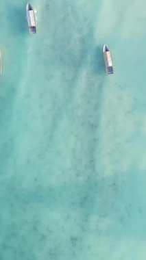Tekne, okyanustaki tekneler Zanzibar, Tanzanya kıyısı, yavaş çekim, dikey video