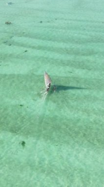Tekne, okyanustaki tekneler Zanzibar, Tanzanya kıyısı, yavaş çekim, dikey video