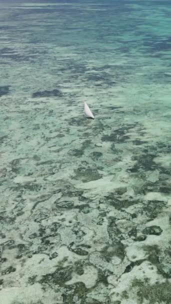 Barcos, barcos no oceano perto da costa de Zanzibar, Tanzânia, câmera lenta, vídeo vertical — Vídeo de Stock