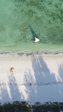 Tekne, okyanustaki tekneler Zanzibar, Tanzanya kıyısı, yavaş çekim, dikey video