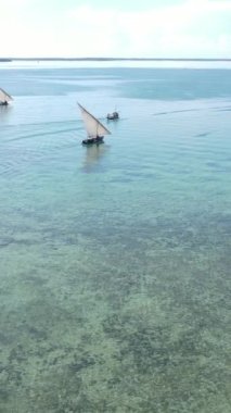 Tekne, okyanustaki tekneler Zanzibar, Tanzanya kıyısı, yavaş çekim, dikey video