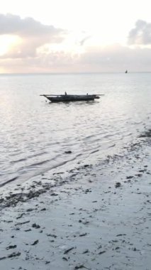 Tekne, okyanustaki tekneler Zanzibar, Tanzanya kıyısı, yavaş çekim, dikey video