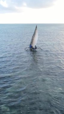 Tekne, okyanustaki tekneler Zanzibar, Tanzanya kıyısı, yavaş çekim, dikey video