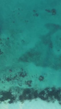 Tekne, okyanustaki tekneler Zanzibar, Tanzanya kıyısı, yavaş çekim, dikey video