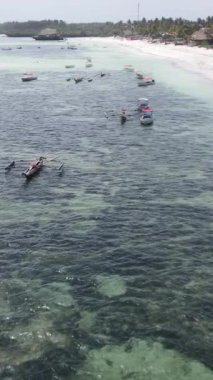 Tekne, okyanustaki tekneler Zanzibar, Tanzanya kıyısı, yavaş çekim, dikey video