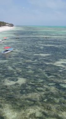 Tekne, okyanustaki tekneler Zanzibar, Tanzanya kıyısı, yavaş çekim, dikey video