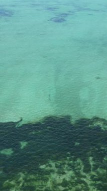 Tekne, okyanustaki tekneler Zanzibar, Tanzanya kıyısı, yavaş çekim, dikey video