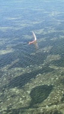 Tekne, okyanustaki tekneler Zanzibar, Tanzanya kıyısı, yavaş çekim, dikey video