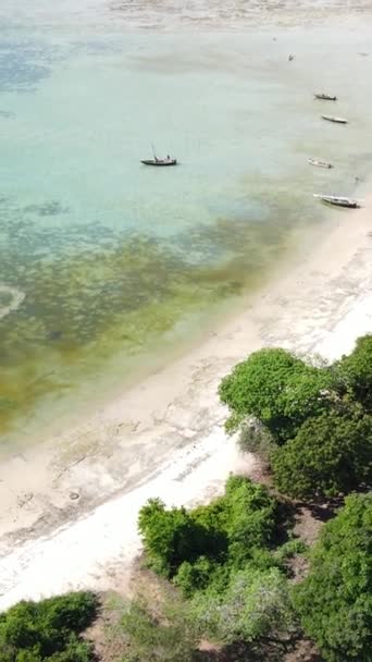 Perahu, perahu di laut dekat pantai Zanzibar, Tanzania, gerak lambat, video vertikal — Stok Video