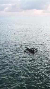 Tekne, okyanustaki tekneler Zanzibar, Tanzanya kıyısı, yavaş çekim, dikey video