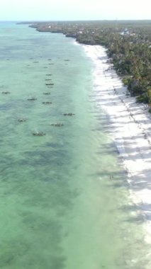 Tekne, okyanustaki tekneler Zanzibar, Tanzanya kıyısı, yavaş çekim, dikey video