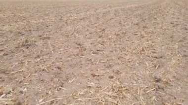 Sonbaharda ekili bir tarlada toprak