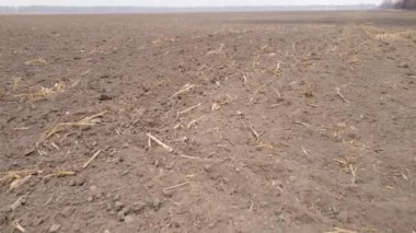 Sonbaharda ekili bir tarlada toprak