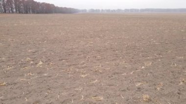 Sonbaharda ekili bir tarlada toprak