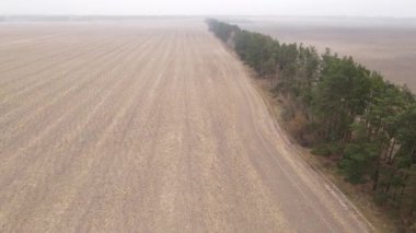 Sonbaharda ekili bir tarlada toprak