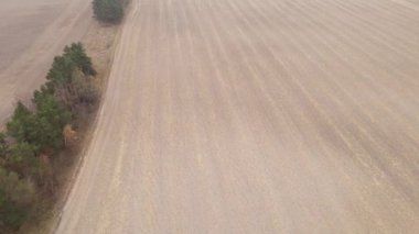 Sonbaharda ekili bir tarlada toprak