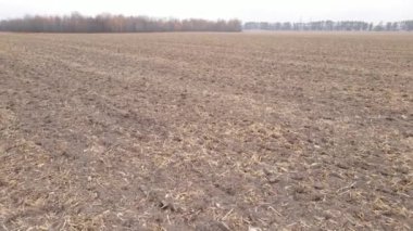 Sonbaharda ekili bir tarlada toprak