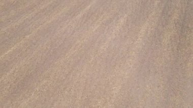 Sonbaharda ekili bir tarlada toprak