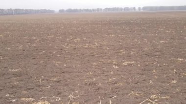 Sonbaharda ekili bir tarlada toprak