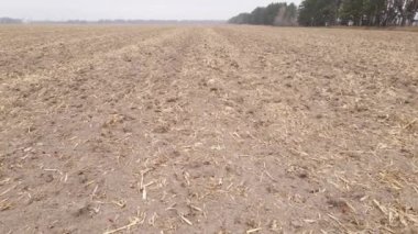 Sonbaharda ekili bir tarlada toprak