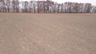 Sonbaharda ekili bir tarlada toprak