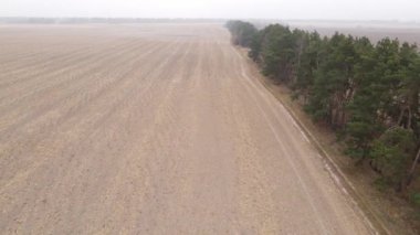 Sonbaharda ekili bir tarlada toprak