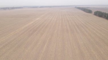 Sonbaharda ekili bir tarlada toprak