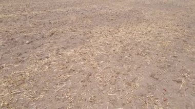 Sonbaharda ekili bir tarlada toprak